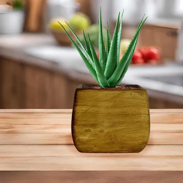 Nebi_Antique_Ceramic_Pots_For_Indoor_Plants,_Planters,Gamla,Outdoor,Balcony,Home,Round,Garden,_Office_Decor,Succulent(L_-_9.5_X_W_-_9.5_X_H_-_8_Cm)