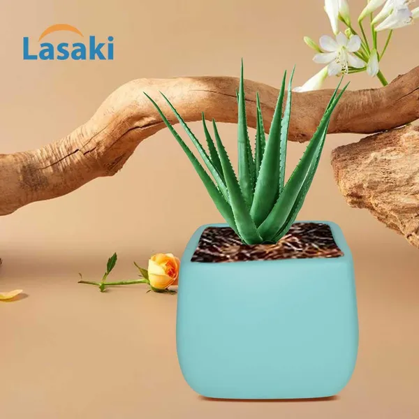 Nebi_Aqua_Ceramic_Pots_For_Indoor_Plants,_Planters,Gamla,Outdoor,Balcony,Home,Round,Garden,_Office_Decor,Succulent(L_-_9.5_X_W_-_9.5_X_H_-_8_Cm)