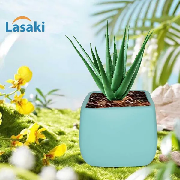 Nebi_Aqua_Ceramic_Pots_For_Indoor_Plants,_Planters,Gamla,Outdoor,Balcony,Home,Round,Garden,_Office_Decor,Succulent(L_-_9.5_X_W_-_9.5_X_H_-_8_Cm)