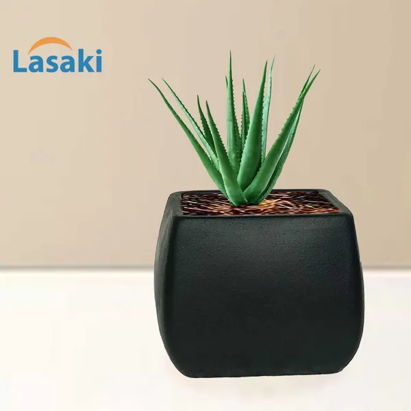 Nebi_Black_Ceramic_Pots_For_Indoor_Plants,_Planters,Gamla,Outdoor,Balcony,Home,Round,Garden,_Office_Decor,Succulent(L_-_9.5_X_W_-_9.5_X_H_-_8_Cm)