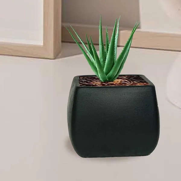 Nebi_Black_Ceramic_Pots_For_Indoor_Plants,_Planters,Gamla,Outdoor,Balcony,Home,Round,Garden,_Office_Decor,Succulent(L_-_9.5_X_W_-_9.5_X_H_-_8_Cm)