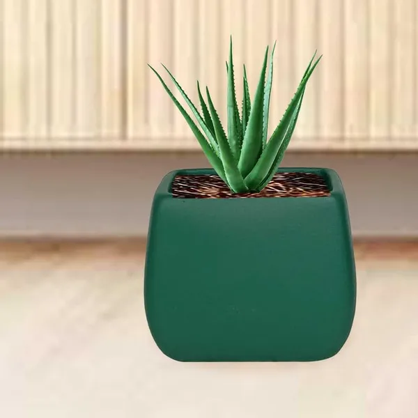 Nebi_Deep_Jungle_Ceramic_Pots_For_Indoor_Plants,_Planters,Gamla,Outdoor,Balcony,Home,Round,Garden,_Office_Decor,Succulent(L_-_9.5_X_W_-_9.5_X_H_-_8_Cm)