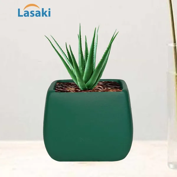 Nebi_Deep_Jungle_Ceramic_Pots_For_Indoor_Plants,_Planters,Gamla,Outdoor,Balcony,Home,Round,Garden,_Office_Decor,Succulent(L_-_9.5_X_W_-_9.5_X_H_-_8_Cm)