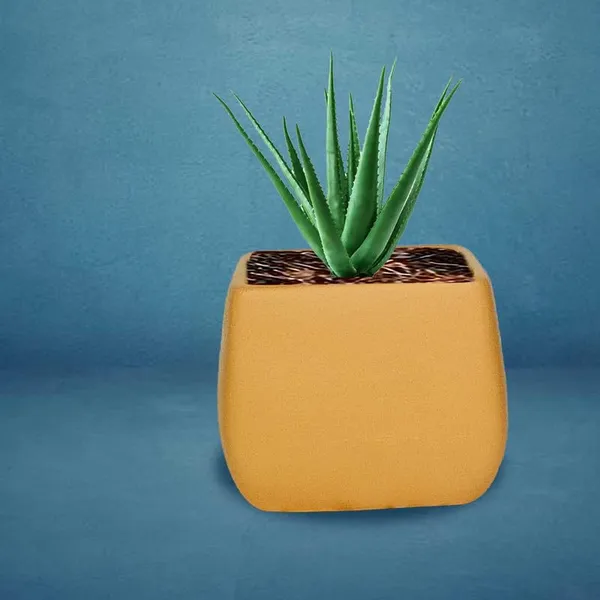 Nebi_Ginger_Ceramic_Pots_For_Indoor_Plants,_Planters,Gamla,Outdoor,Balcony,Home,Round,Garden,_Office_Decor,Succulent(L_-_9.5_X_W_-_9.5_X_H_-_8_Cm)