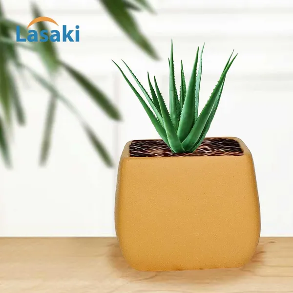 Nebi_Ginger_Ceramic_Pots_For_Indoor_Plants,_Planters,Gamla,Outdoor,Balcony,Home,Round,Garden,_Office_Decor,Succulent(L_-_9.5_X_W_-_9.5_X_H_-_8_Cm)