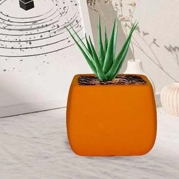Nebi_Lily_Ceramic_Pots_For_Indoor_Plants,_Planters,Gamla,Outdoor,Balcony,Home,Round,Garden,_Office_Decor,Succulent(L_-_9.5_X_W_-_9.5_X_H_-_8_Cm)