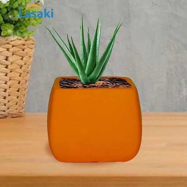 Nebi_Lily_Ceramic_Pots_For_Indoor_Plants,_Planters,Gamla,Outdoor,Balcony,Home,Round,Garden,_Office_Decor,Succulent(L_-_9.5_X_W_-_9.5_X_H_-_8_Cm)
