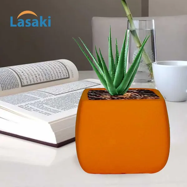 Nebi_Lily_Ceramic_Pots_For_Indoor_Plants,_Planters,Gamla,Outdoor,Balcony,Home,Round,Garden,_Office_Decor,Succulent(L_-_9.5_X_W_-_9.5_X_H_-_8_Cm)
