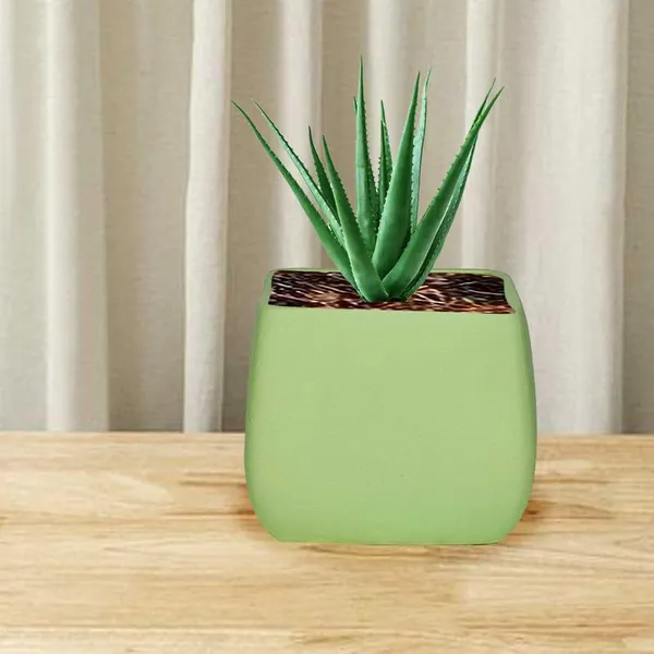Nebi_Mint_Ceramic_Pots_For_Indoor_Plants,_Planters,Gamla,Outdoor,Balcony,Home,Round,Garden,_Office_Decor,Succulent(L_-_9.5_X_W_-_9.5_X_H_-_8_Cm)