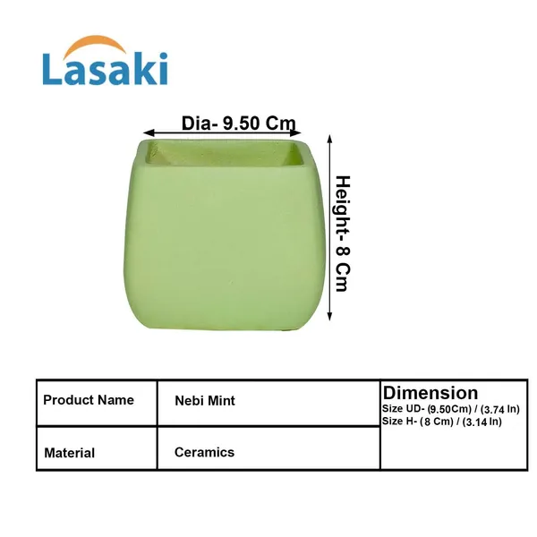 Nebi_Mint_Ceramic_Pots_For_Indoor_Plants,_Planters,Gamla,Outdoor,Balcony,Home,Round,Garden,_Office_Decor,Succulent(L_-_9.5_X_W_-_9.5_X_H_-_8_Cm)