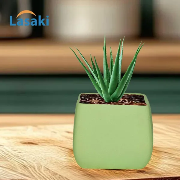 Nebi_Mint_Ceramic_Pots_For_Indoor_Plants,_Planters,Gamla,Outdoor,Balcony,Home,Round,Garden,_Office_Decor,Succulent(L_-_9.5_X_W_-_9.5_X_H_-_8_Cm)