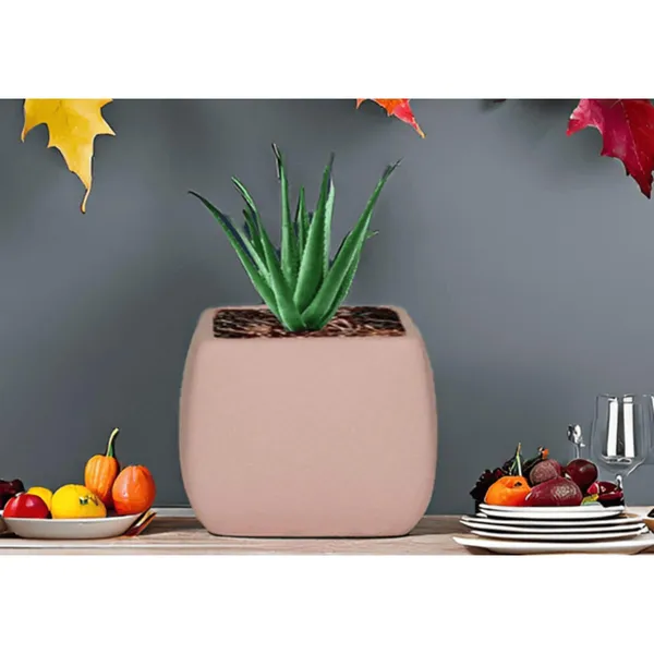 Nebi_Pink_Ceramic_Pots_For_Indoor_Plants,_Planters,Gamla,Outdoor,Balcony,Home,Round,Garden,_Office_Decor,Succulent(L_-_9.5_X_W_-_9.5_X_H_-_8_Cm)