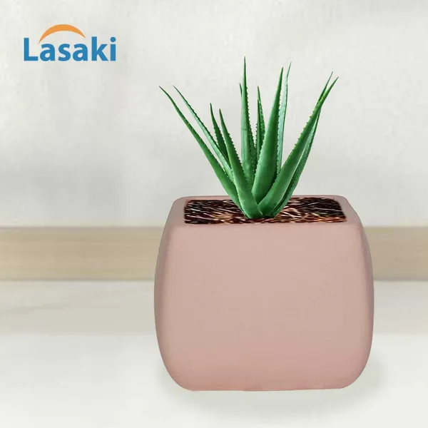 Nebi_Pink_Ceramic_Pots_For_Indoor_Plants,_Planters,Gamla,Outdoor,Balcony,Home,Round,Garden,_Office_Decor,Succulent(L_-_9.5_X_W_-_9.5_X_H_-_8_Cm)