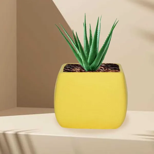 Nebi_Saffron_Ceramic_Pots_For_Indoor_Plants,_Planters,Gamla,Outdoor,Balcony,Home,Round,Garden,_Office_Decor,Succulent(L_-_9.5_X_W_-_9.5_X_H_-_8_Cm)