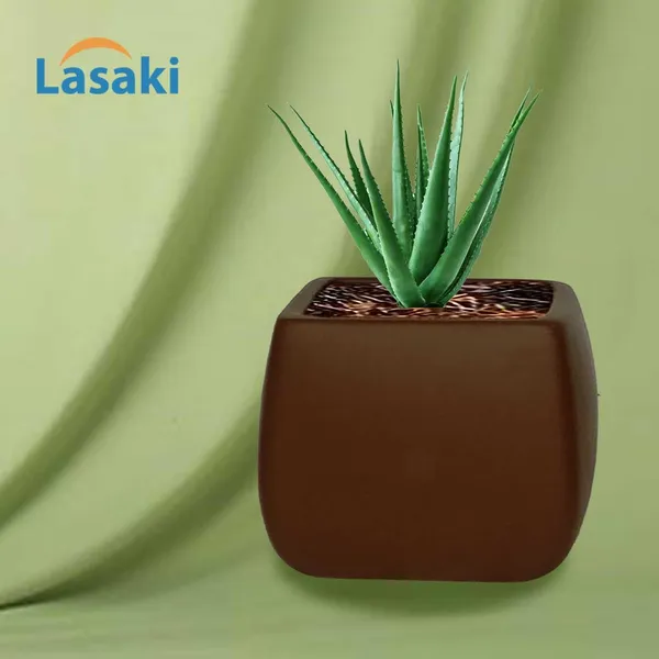 Nebi_Truffle_Ceramic_Pots_For_Indoor_Plants,_Planters,Gamla,Outdoor,Balcony,Home,Round,Garden,_Office_Decor,Succulent(L_-_9.5_X_W_-_9.5_X_H_-_8_Cm)