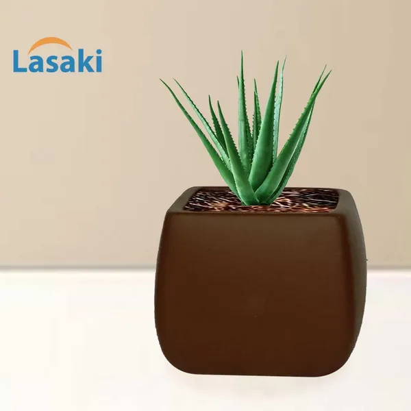 Nebi_Truffle_Ceramic_Pots_For_Indoor_Plants,_Planters,Gamla,Outdoor,Balcony,Home,Round,Garden,_Office_Decor,Succulent(L_-_9.5_X_W_-_9.5_X_H_-_8_Cm)