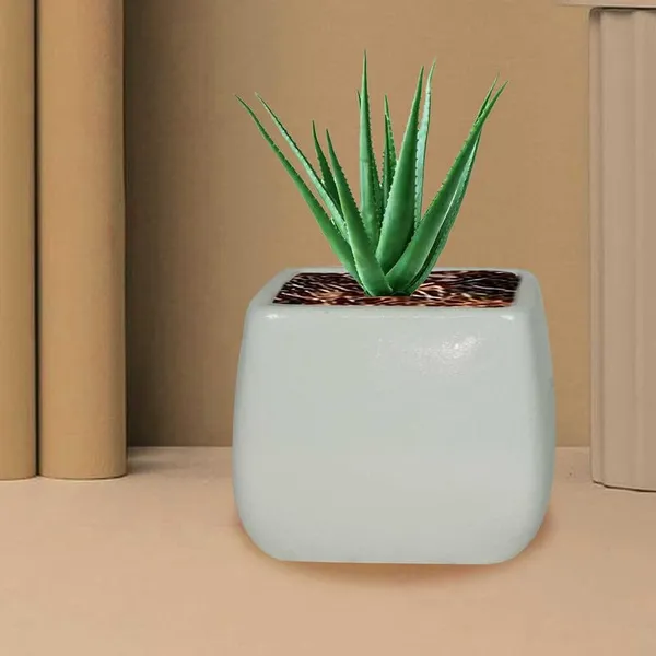 Nebi_White_Ceramic_Pots_For_Indoor_Plants,_Planters,Gamla,Outdoor,Balcony,Home,Round,Garden,_Office_Decor,Succulent(L_-_9.5_X_W_-_9.5_X_H_-_8_Cm)