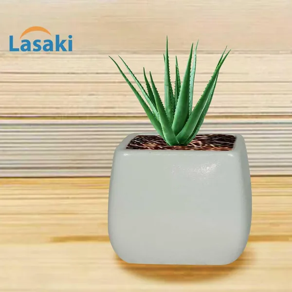 Nebi_White_Ceramic_Pots_For_Indoor_Plants,_Planters,Gamla,Outdoor,Balcony,Home,Round,Garden,_Office_Decor,Succulent(L_-_9.5_X_W_-_9.5_X_H_-_8_Cm)