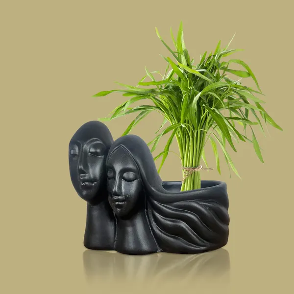 Couple_Black_Ceramic_Pots_For_Indoor_Plants,_Planters,_Flower,_Pots,_Gamla,_Outdoor,_Balcony,_Home,_Garden,_Office_Decor,_Succulent_Pot(L_-_16_X_W_-_10_X_H_-_14.5_Cm)