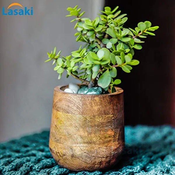 Oliver_Wooden_Pots_For_Table_Top_Indoor_Plants_Planters_Flower_Pots_Outdoor_Succulent_Pot_(Color:_Beach)_Wp5