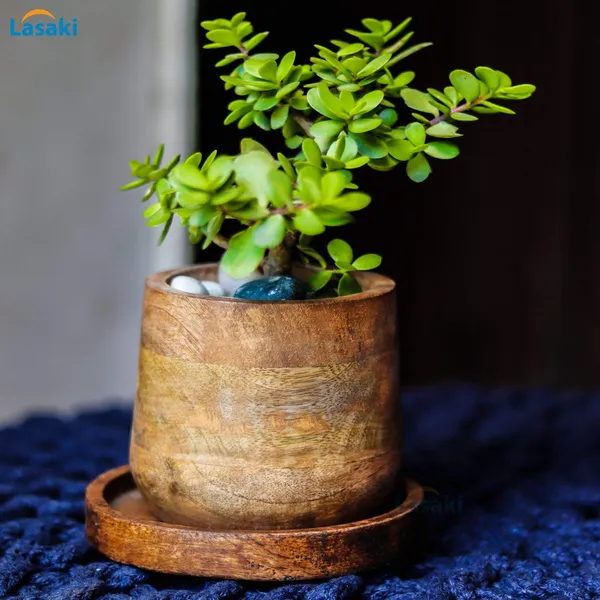 Oliver_Wooden_Pots_For_Indoor_Plants,_Planters,_Flower,_Gamla,_Outdoor,_Succulent_(Color:_Beach)_(Beach1_With_Plate)