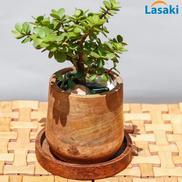Oliver_Wooden_Pots_For_Indoor_Plants,_Planters,_Flower,_Gamla,_Outdoor,_Succulent_(Color:_Beach)_(Beach1_With_Plate)