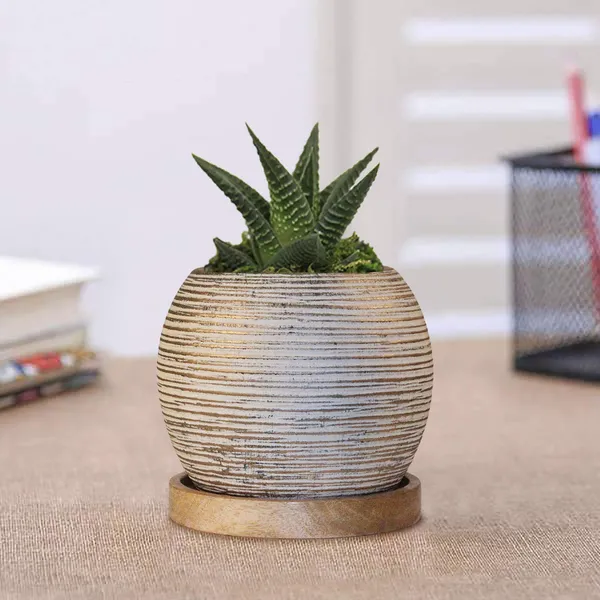 Plate_Tray_Wooden_Beach_Circular_5_Inch_Wp5_Ceramic_Pots_For_Indoor_Plants,Planters,Flower_Pots,Gamla_For_Indoor,Outdoor,Succulent_Pot