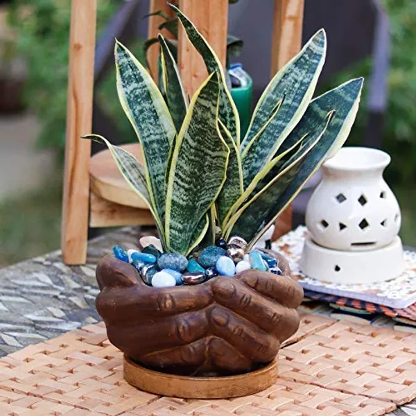 Hand_Ceramic_With_Wooden_Plate/Tray_For_Indoor_And_Outdoor_Home_Décor_Ceramic_Flower_Plants_For_Balcony,Home,Garden,Office,Succulent_Pot(Antique,Plate:Wooden)_Wp6.5