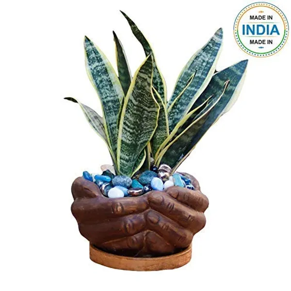 Hand_Ceramic_With_Wooden_Plate/Tray_For_Indoor_And_Outdoor_Home_Décor_Ceramic_Flower_Plants_For_Balcony,Home,Garden,Office,Succulent_Pot(Antique,Plate:Wooden)_Wp6.5