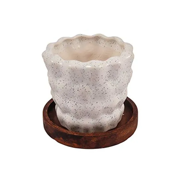 Pineapple_Ceramic_Pots_For_Indoor_Plants,Planters,Flower_Pots,Gamla_For_Indoor,Outdoor,Balcony,Home,Garden,Office_Decor,Bonsai_Pot,Succulent_Pot_(White_With_Wooden_Plate)