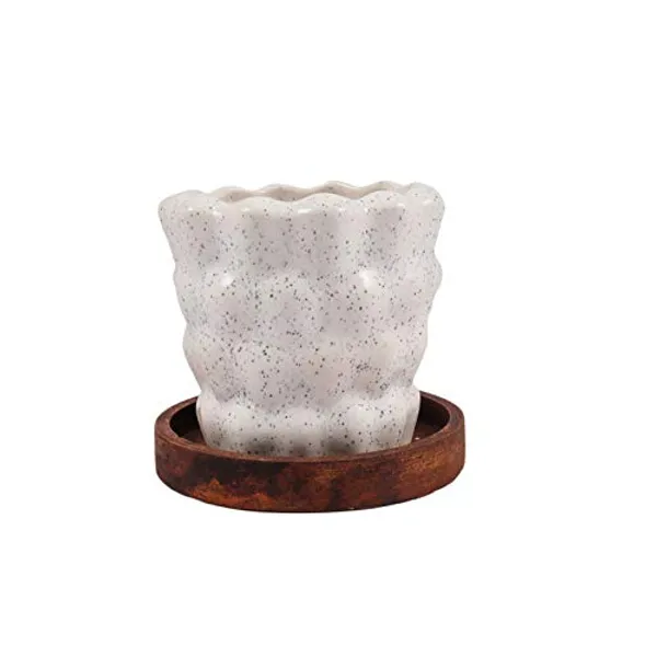 Pineapple_Ceramic_Pots_For_Indoor_Plants,Planters,Flower_Pots,Gamla_For_Indoor,Outdoor,Balcony,Home,Garden,Office_Decor,Bonsai_Pot,Succulent_Pot_(White_With_Wooden_Plate)