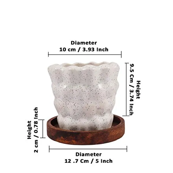 Pineapple_Ceramic_Pots_For_Indoor_Plants,Planters,Flower_Pots,Gamla_For_Indoor,Outdoor,Balcony,Home,Garden,Office_Decor,Bonsai_Pot,Succulent_Pot_(White_With_Wooden_Plate)