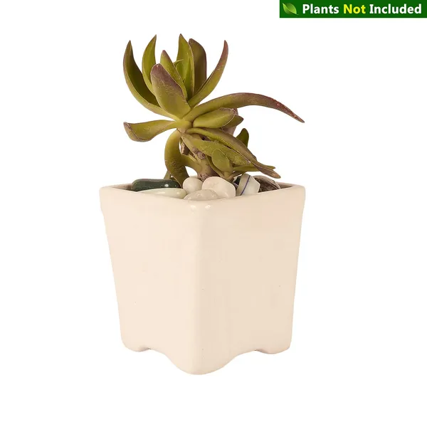 Mini_Pot_Ceramic_Pots_For_Indoor_Plants_Planter_Home_Living_Room_Balcony_Tabletop_Office_Succulent_Garden_Décor_(Color_:_White)
