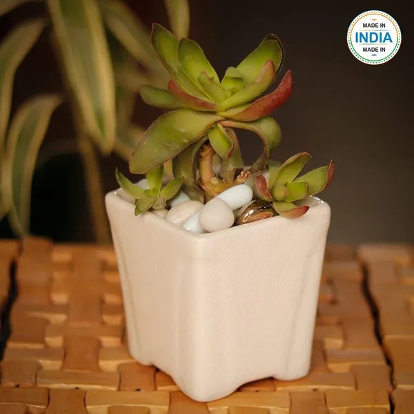 Mini_Pot_Ceramic_Pots_For_Indoor_Plants_Planter_Home_Living_Room_Balcony_Tabletop_Office_Succulent_Garden_Décor_(Color_:_White)