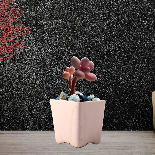 Mini_Pot_Ceramic_Pots_For_Indoor_Plants_Planter_Home_Living_Room_Balcony_Tabletop_Office_Succulent_Garden_Décor_(Color_:_White)
