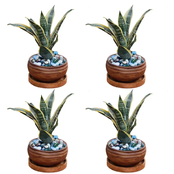 Bowl_Ceramic_Succulent_Cactus_Planter_Pots_With_Wooden_Plate_For_Home,_Living_Room,Indoor,Outdoor_Gifts_For_Diwali_Decoration_Pot_Container(Antique,Plate_Beach_Wp5)Set_Of_4