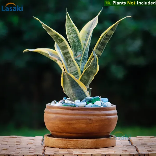 Bowl_Ceramic_Succulent_Cactus_Planter_Pots_With_Wooden_Plate_For_Home,_Living_Room,Indoor,Outdoor_Gifts_For_Diwali_Decoration_Pot_Container(Antique,Plate_Beach_Wp5)Set_Of_4