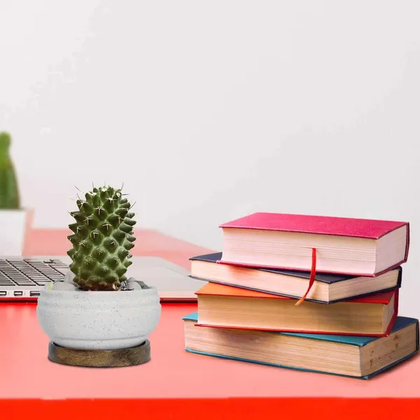 Bowl_Ceramic_Succulent_Cactus_Planter_Pots_With_Wooden_Plate_For_Home,_Balcony,_Living_Room,_Indoor,_Outdoor_Gifts_For_Diwali_Decoration_Pot_Container_Planter(White,Plate_Beach_Wp5)