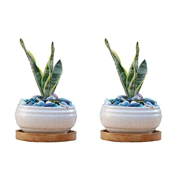 Bowl_Ceramic_Succulent_Cactus_Planter_Pots_With_Wooden_Plate_For_Home,Living_Room,Indoor,Outdoor_Gifts_For_Diwali_Decoration_Pot_Container_Planter_(White,Plate_Beach_Wp5)_Set_Of_2