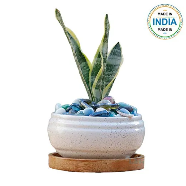 Bowl_Ceramic_Succulent_Cactus_Planter_Pots_With_Wooden_Plate_For_Home,Living_Room,Indoor,Outdoor_Gifts_For_Diwali_Decoration_Pot_Container_Planter_(White,Plate_Beach_Wp5)_Set_Of_2