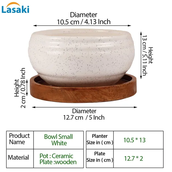 Bowl_Ceramic_Succulent_Cactus_Planter_Pots_With_Wooden_Plate_For_Home,Living_Room,Indoor,Outdoor_Gifts_For_Diwali_Decoration_Pot_Container_Planter_(White,Plate_Beach_Wp5)_Set_Of_2