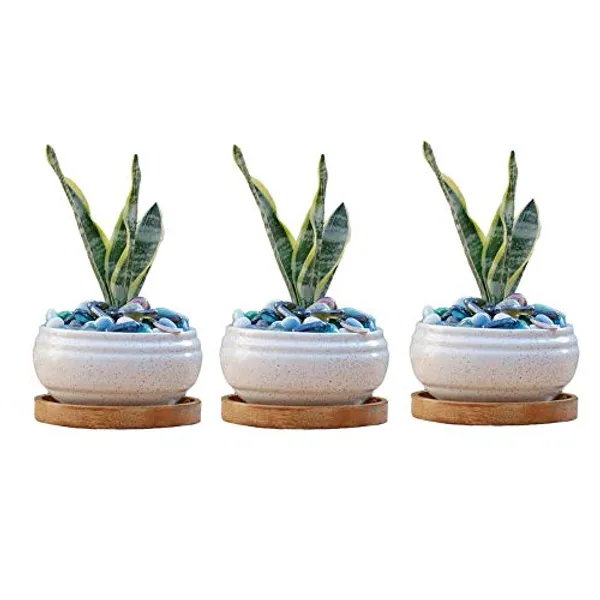 Bowl_Ceramic_Succulent_Cactus_Planter_With_Wooden_Plate_For_Home,Living_Room,Indoor,Outdoor_Gifts_For_Diwali_Decoration_Pot_Container_Planter(White,Plate_Beach_Wp5)Set_Of_3