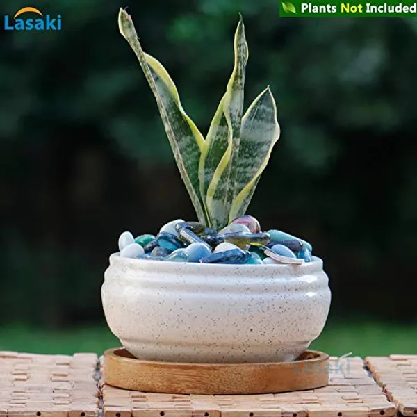Bowl_Ceramic_Succulent_Cactus_Planter_With_Wooden_Plate_For_Home,Living_Room,Indoor,Outdoor_Gifts_For_Diwali_Decoration_Pot_Container_Planter(White,Plate_Beach_Wp5)Set_Of_3