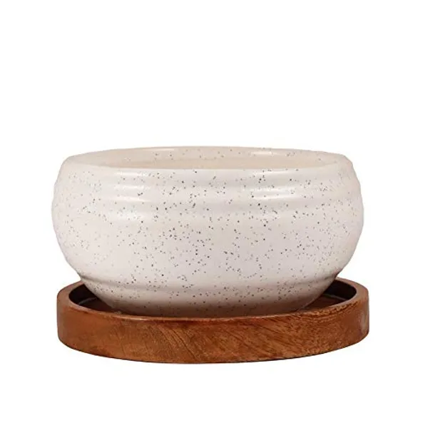 Bowl_Ceramic_Succulent_Cactus_Planter_With_Wooden_Plate_For_Home,Living_Room,Indoor,Outdoor_Gifts_For_Diwali_Decoration_Pot_Container_Planter(White,Plate_Beach_Wp5)Set_Of_3