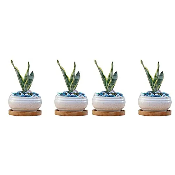 Bowl_Ceramic_Succulent_Cactus_Planter_With_Wooden_Plate_For_Home,Living_Room,Indoor,Outdoor_Gifts_For_Diwali_Decoration_Pot_Container_Planter(White,Plate_Beach_Wp5)Set_Of_4