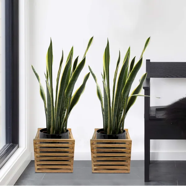 Wooden_Plant_Stand_Flower_Pots_-_Holds_Up_To_Dia_14_Cm_For_Indoor_Outdoor_Balcony_House_Garden_Patio_Holders_For_Pots_&_Plants_(20.5_Cm_X_20.5_X_18_Cm)_(Wow_8_Inch_Set_Of_2)