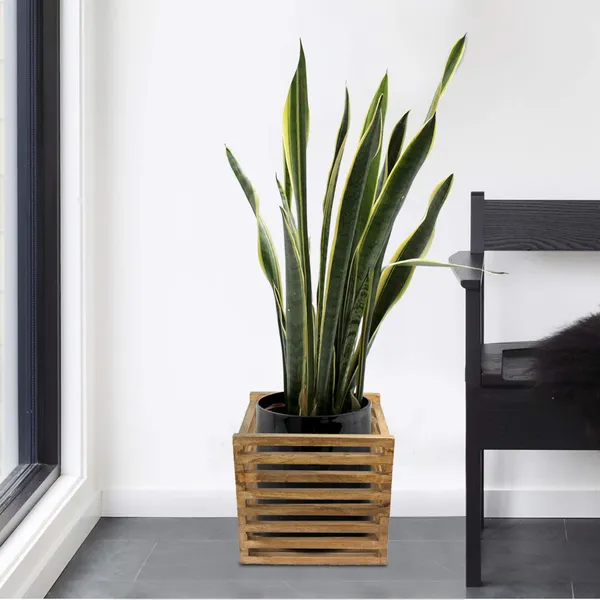 Wooden_Plant_Stand_Flower_Pots_-_Holds_Up_To_Dia_14_Cm_For_Indoor_Outdoor_Balcony_House_Garden_Patio_Holders_For_Pots_&_Plants_(20.5_Cm_X_20.5_X_18_Cm)_(Wow_8_Inch_Set_Of_2)