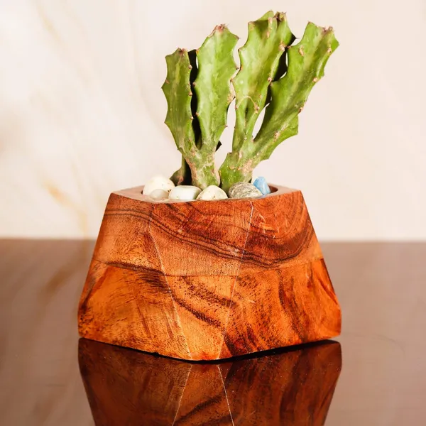 Diamond_Wooden_Pots_For_Indoor_Plants_Planters_Flower_Pots_Gamla_Table_Top_Outdoor_Succulent_Cactus_Plant_Pot_Container_Planter