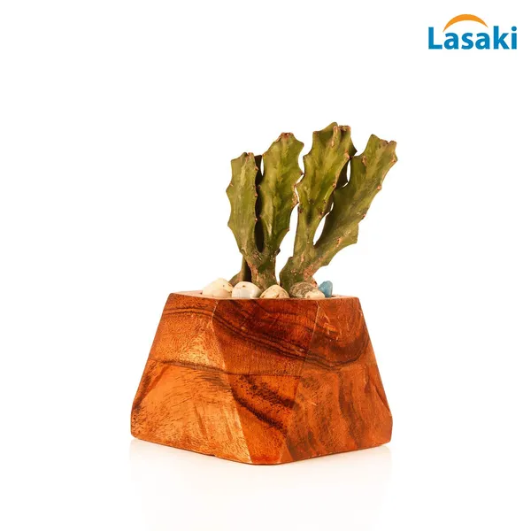Diamond_Wooden_Set_Of_Two_Pots_For_Indoor_Plants,Planters,Flower_Pots,Gamla_For_Indoor,Outdoor,Succulent_Pot