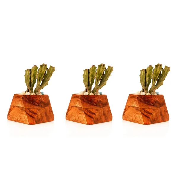Diamond_Wooden_Set_Of_Three_Pots_For_Indoor_Plants,Planters,Flower_Pots,Gamla_For_Indoor,Outdoor,Succulent_Pot